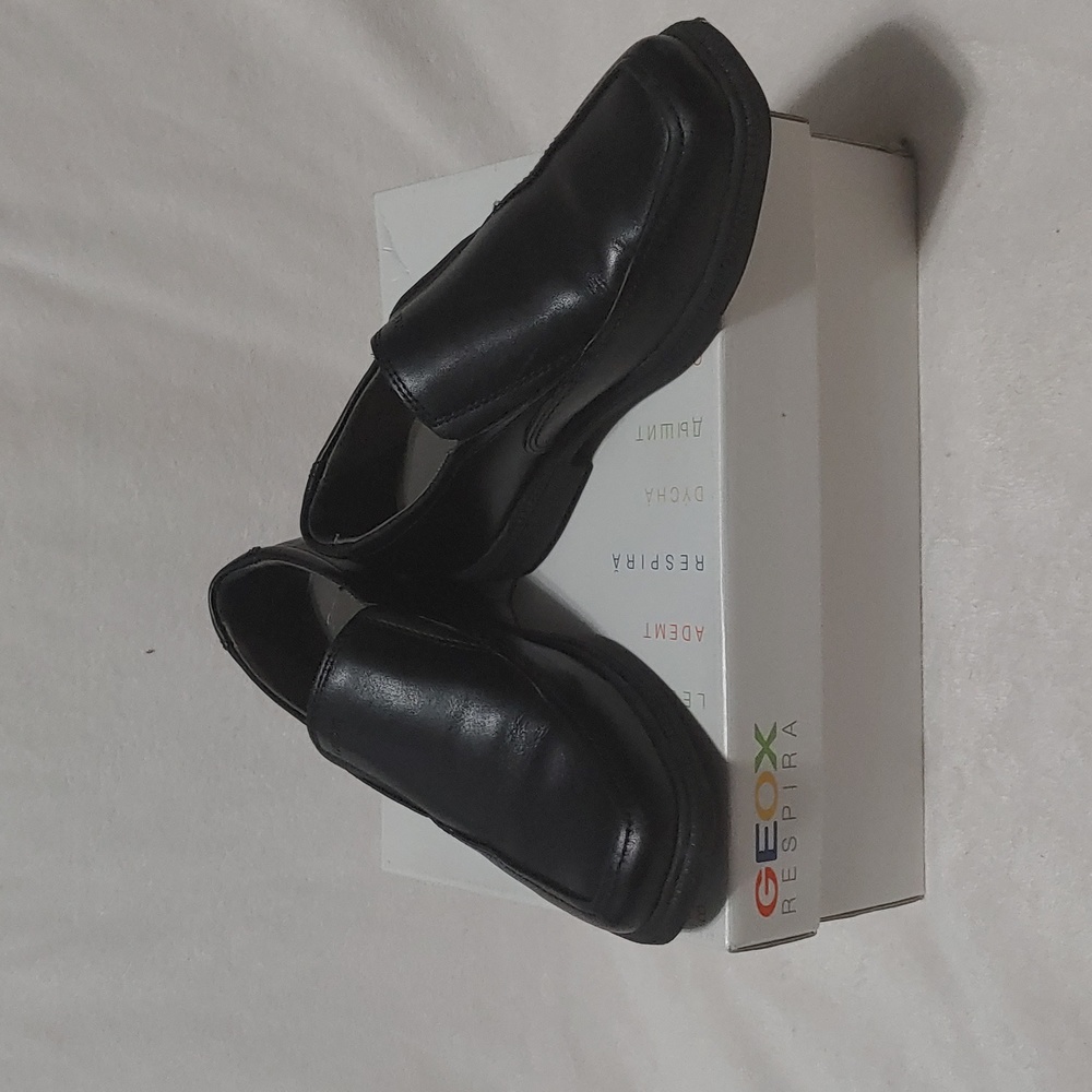 Geox Dress shoes